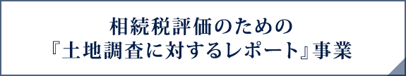 相続税評価のための『土地調査に対するレポート』事業